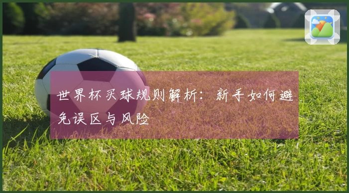 世界杯买球规则解析：新手如何避免误区与风险